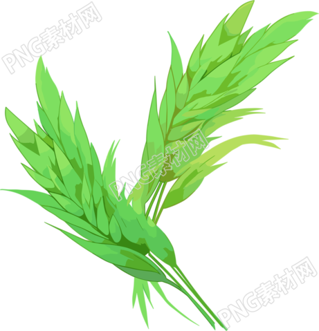 麦穗创意设计元素