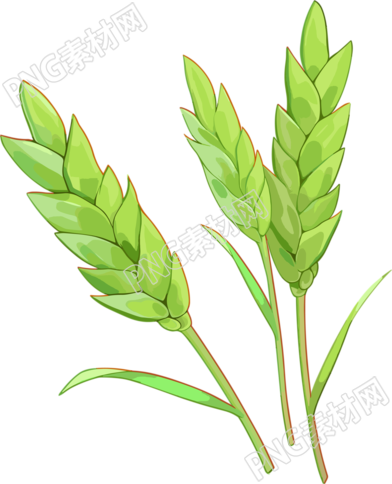 麥穗商業(yè)用途圖形素材