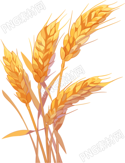 麦穗商业创意插图