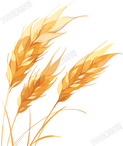 麥穗設(shè)計插畫