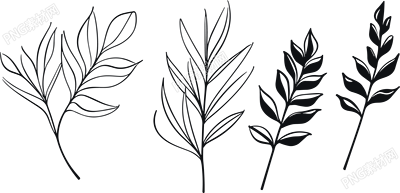 艾草簡筆畫