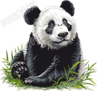 熊貓卡通簡單可愛插畫