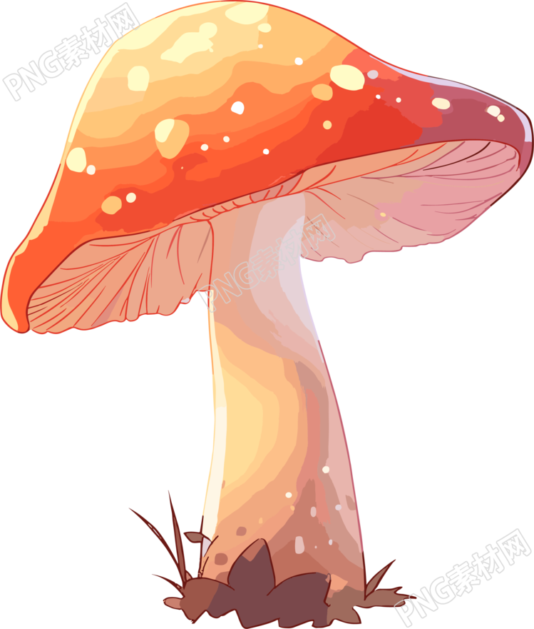 蘑菇卡通简约扁平插图