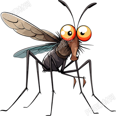 蚊子卡通簡(jiǎn)單動(dòng)物插畫