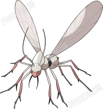 蚊子卡通簡(jiǎn)約插畫