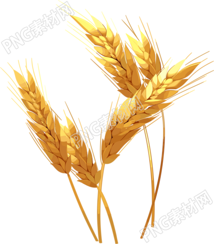 稻子简约扁平插图