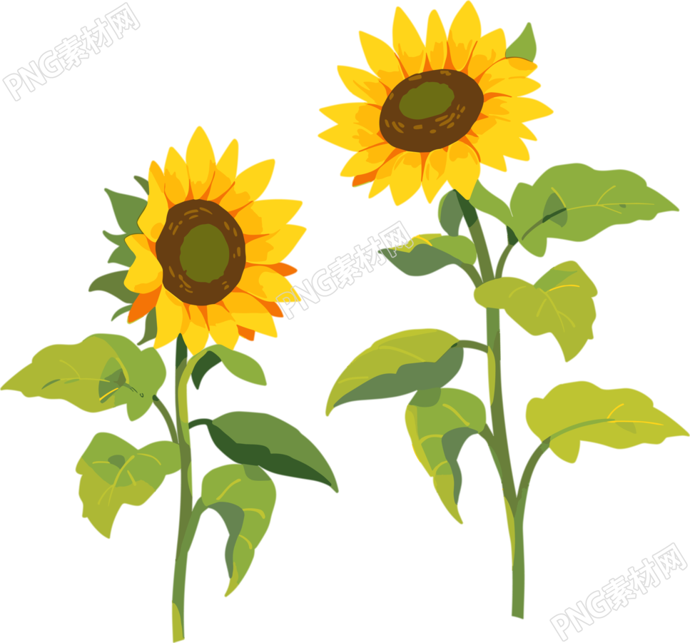 花朵商业设计元素