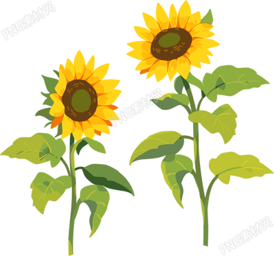 花朵商業(yè)設(shè)計(jì)元素