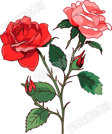 花朵簡(jiǎn)約平面插圖