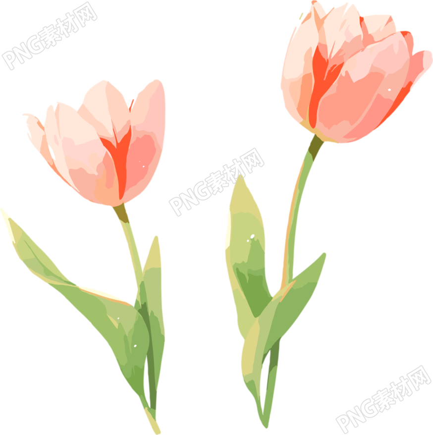 花朵插画设计素材