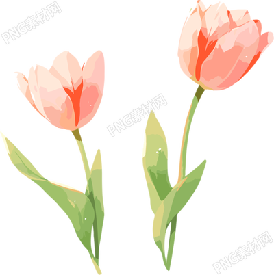 花朵插畫設(shè)計(jì)素材