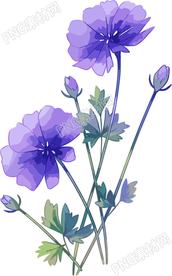 花朵PNG商用素材