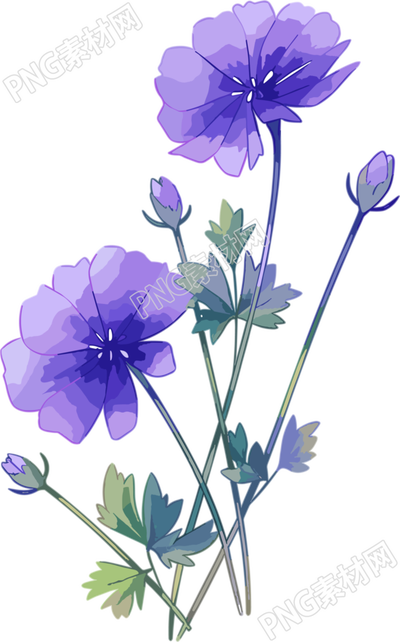 花朵PNG商用素材