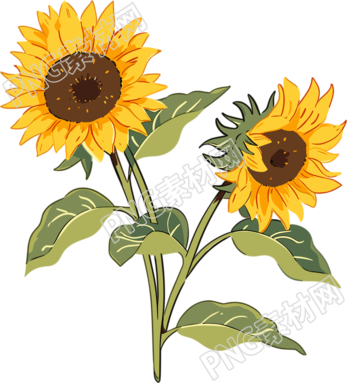 花朵高清插畫