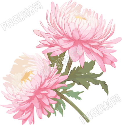 花朵商业设计元素