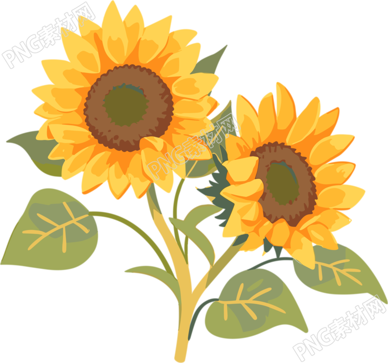 花朵插画设计元素