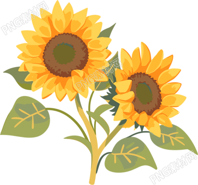 花朵插畫設(shè)計(jì)元素