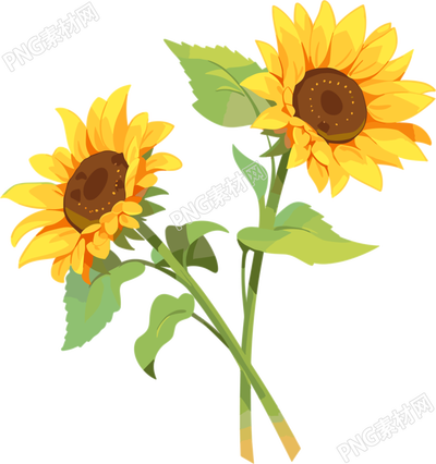 花朵平面插畫素材