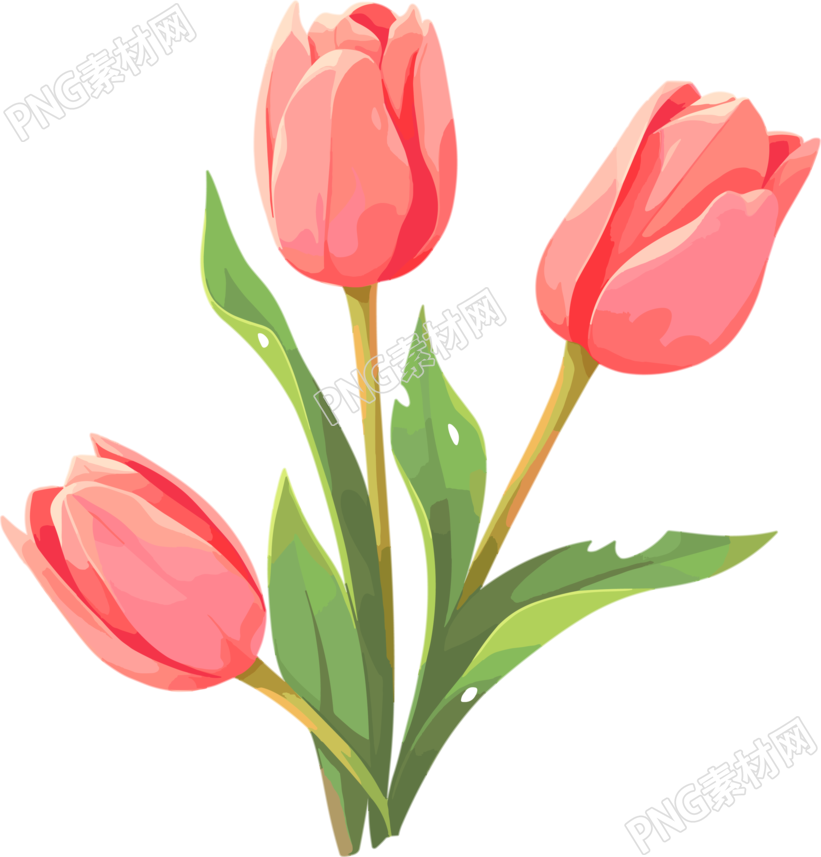 花朵透明背景插画