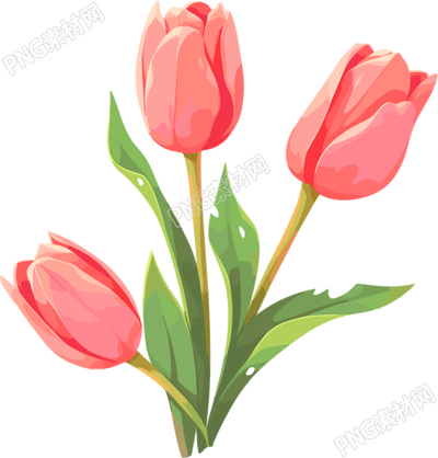 花朵透明背景插畫