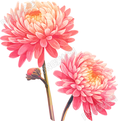 花朵平面插畫