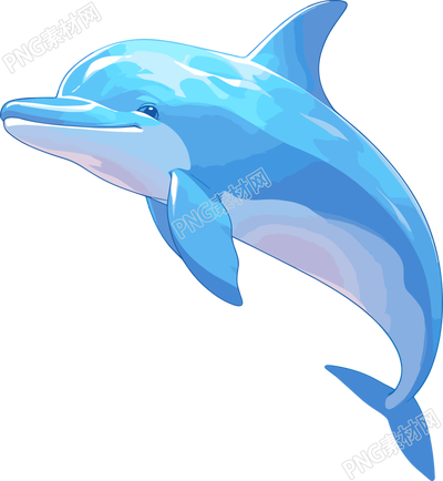 海豚卡通設計元素