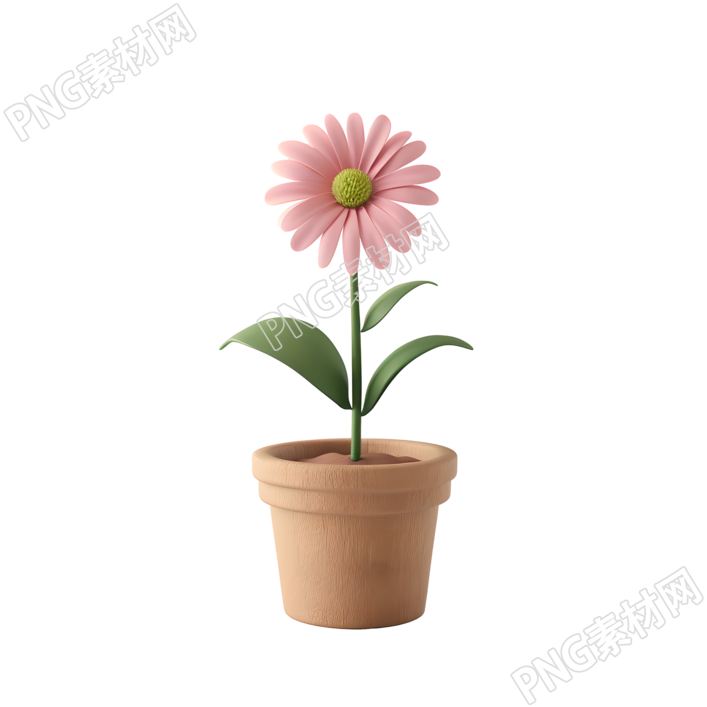 3D花卉商业插画设计