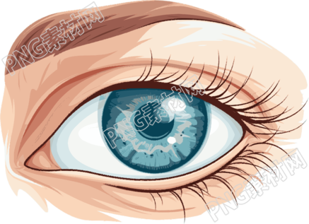 眼睛扁平插图
