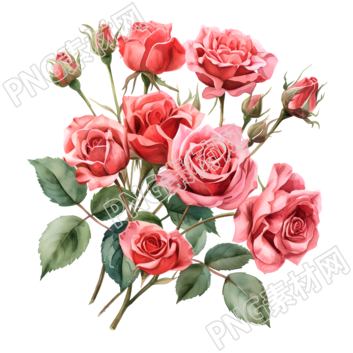 玫瑰花束扁平插畫