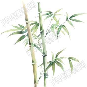 中國(guó)風(fēng)竹子插畫素材