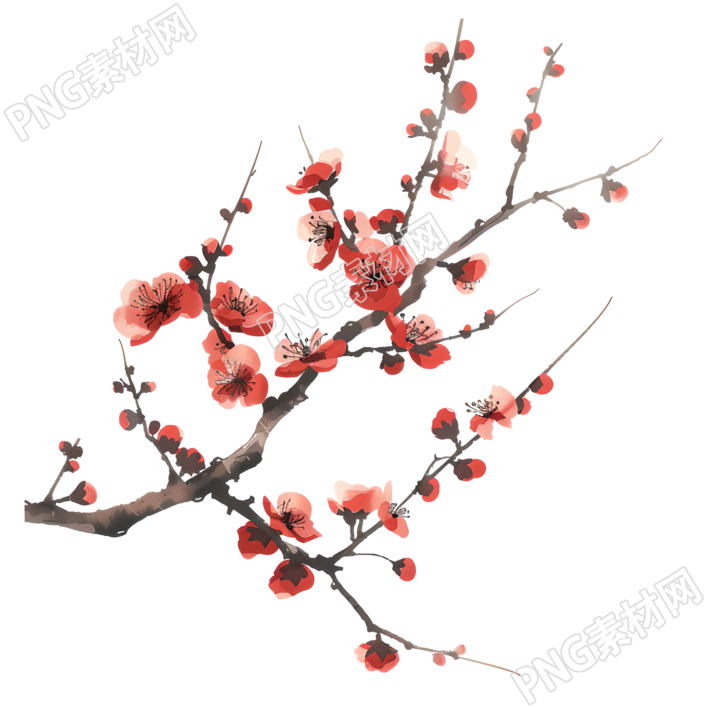 中国风梅花精美插图