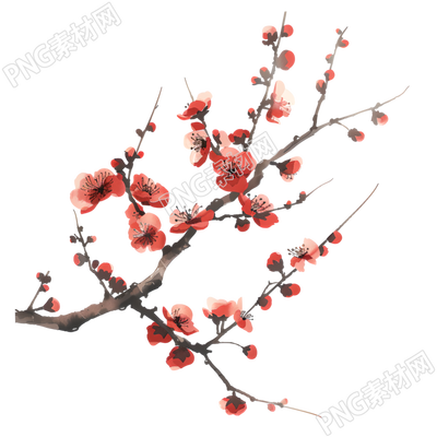 中國(guó)風(fēng)梅花精美插圖