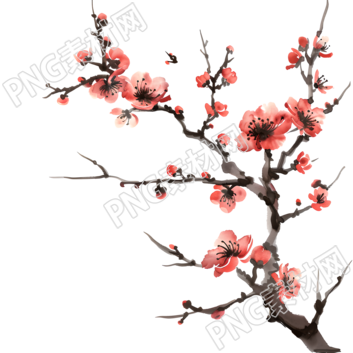 中国风梅花插画素材