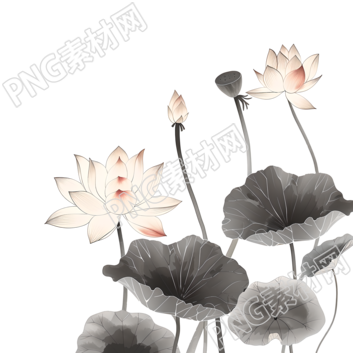 水墨荷花簡約插圖