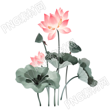 水墨荷花高清圖形素材