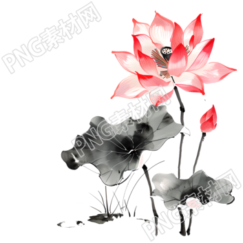 水墨荷花簡約素材