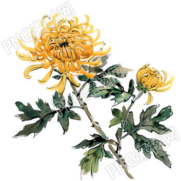國風菊花創(chuàng)意設(shè)計元素