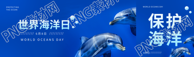 世界海洋日海豚实景公众号封面图