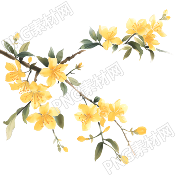國風(fēng)桂花商用素材