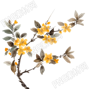 國風(fēng)桂花插畫