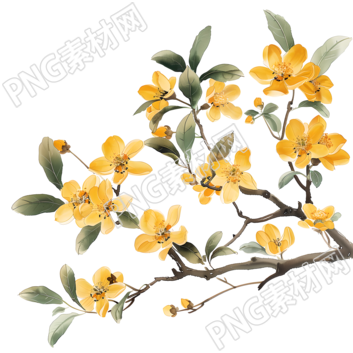 國風(fēng)桂花簡約素材