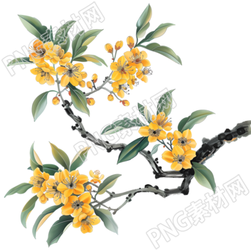 國風(fēng)桂花元素