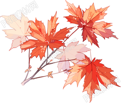 秋日楓葉簡約插畫