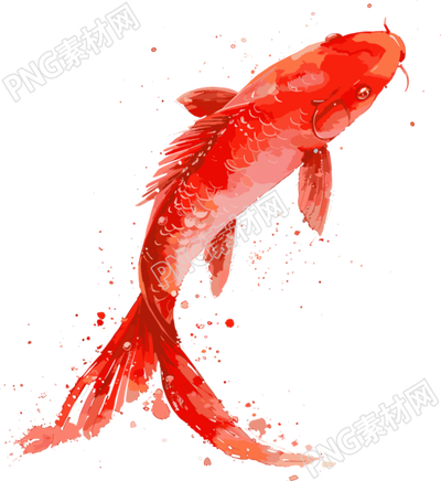 紅色錦鯉簡潔插圖