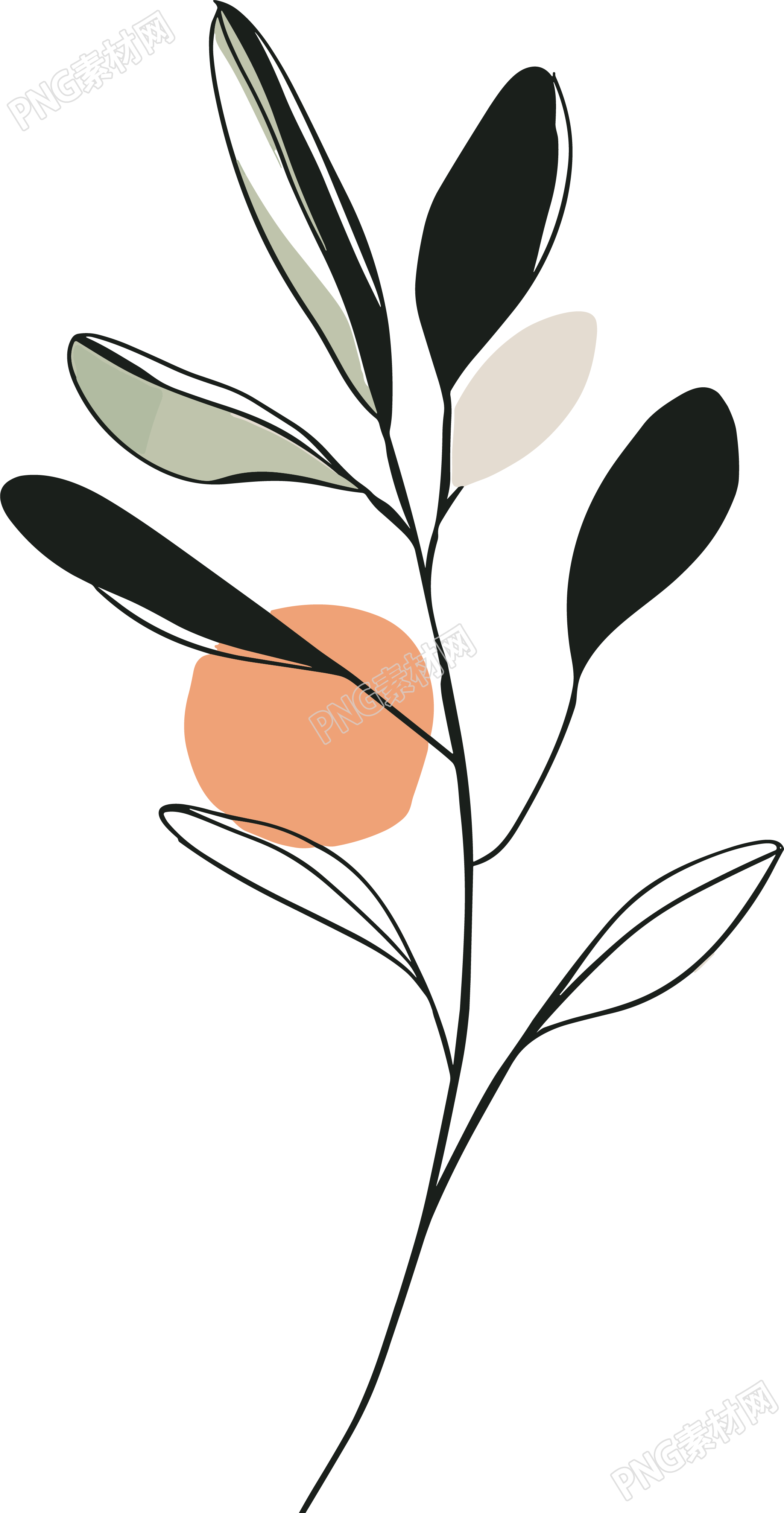 抽象植物简约线条素材