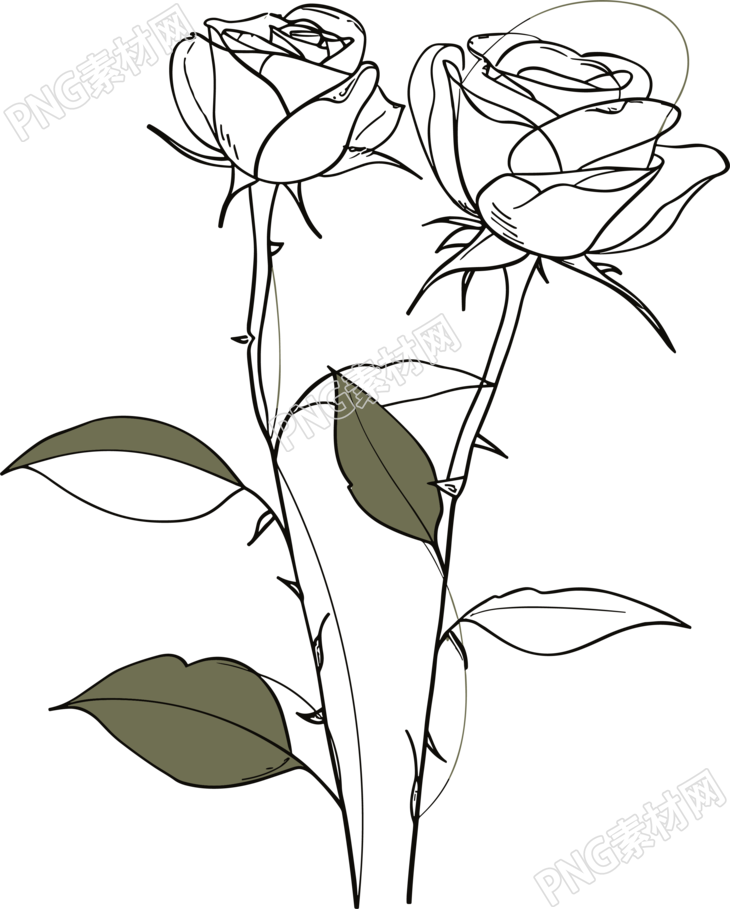 抽象植物线条插画