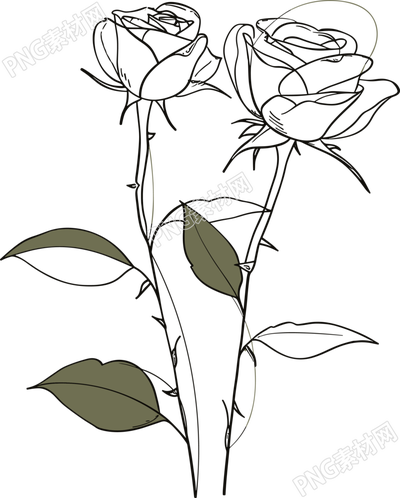 抽象植物線條插畫(huà)