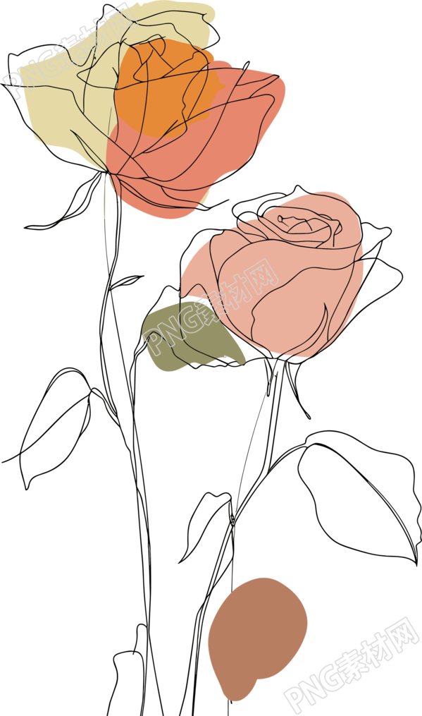 抽象植物PNG插图