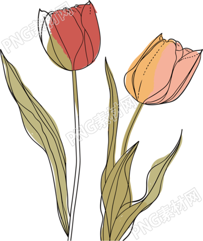 抽象植物插画设计