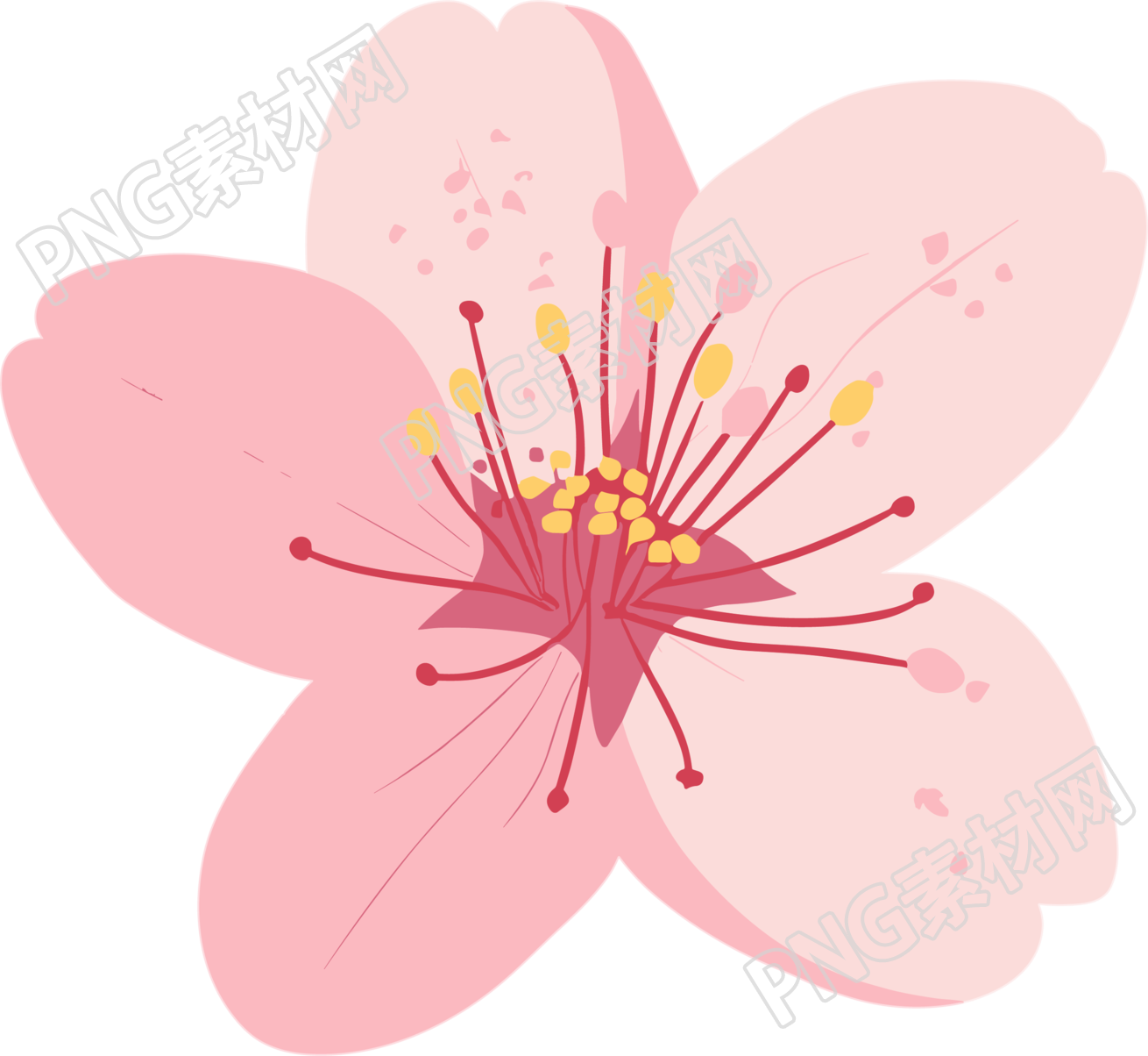 粉色樱花商用插画